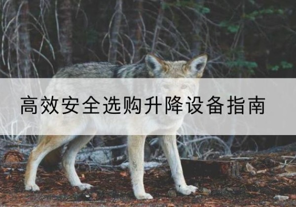 大厂升降货梯厂家推荐-*安全选购升降设备指南
