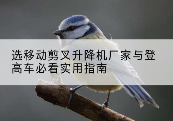 大厂电动升降机厂家-选移动剪叉升降机厂家与登高车必看实用指南
