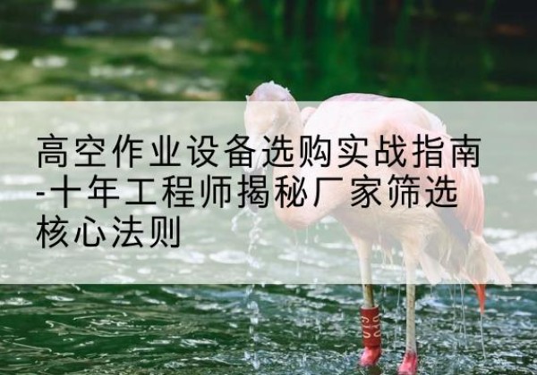 大厂剪叉式升降机厂家-高空作业设备选购实战指南-十年工程师揭秘厂家筛选核心法则